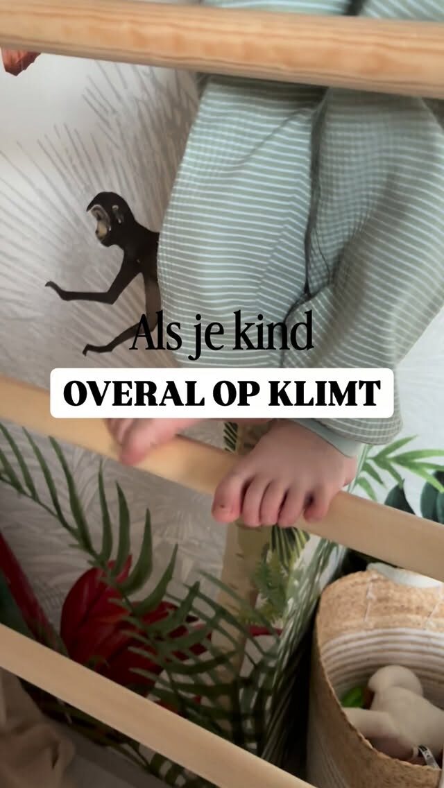 Instagram post from adventure.beds. This post is in position 1.