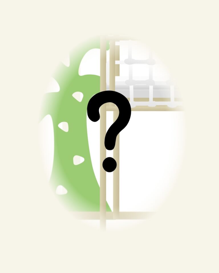 Instagram post from adventure.beds. This post is in position 4.